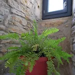 Casa vacanze La Lauze De Marijoulet 2/4 Personnes